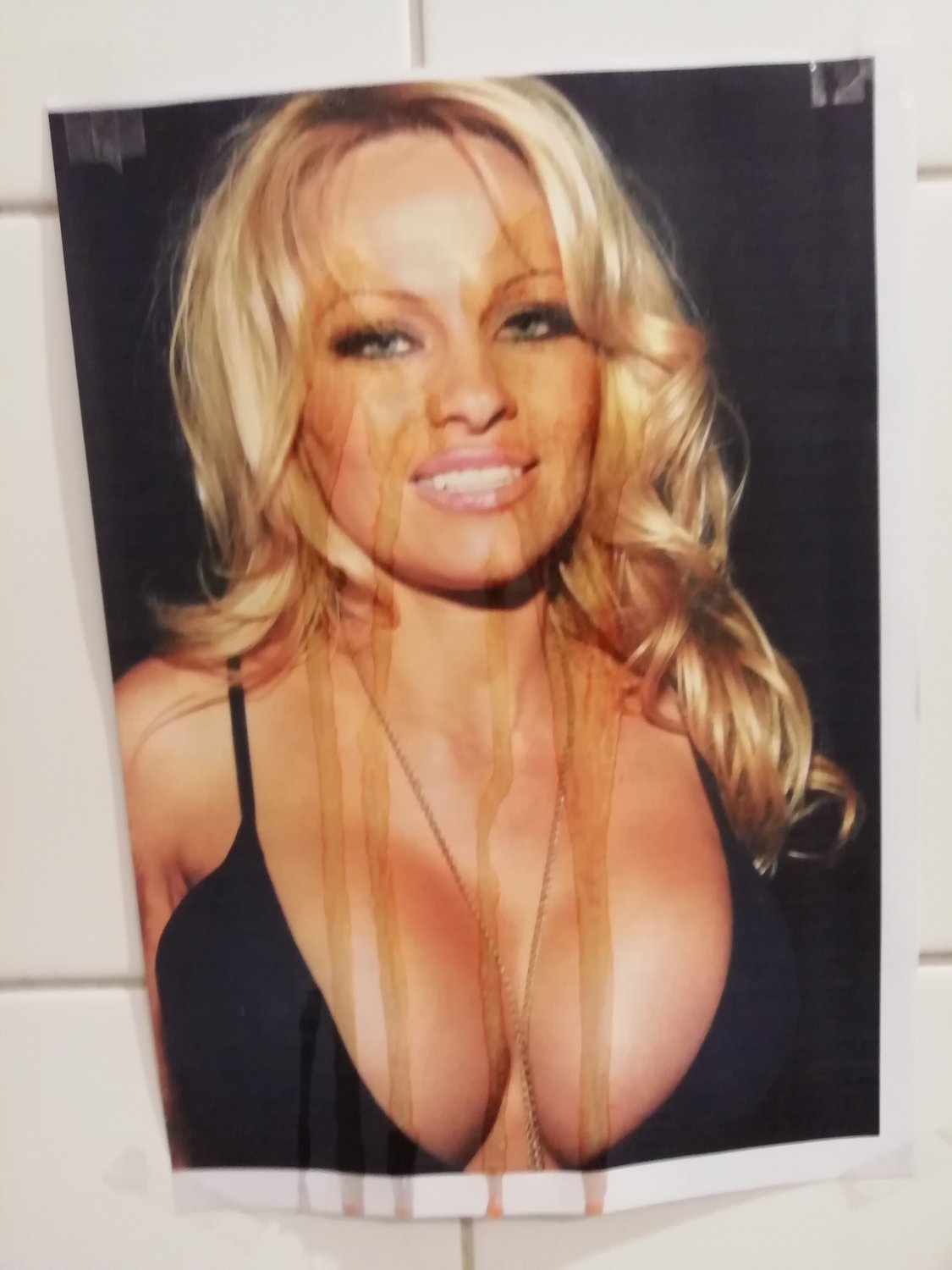 Pamela Anderson Cum Tribute - Порно Видео и Фото - EroMe